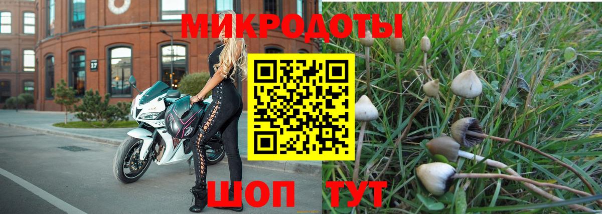 Псилоцибиновые грибы ЛСД Баксан