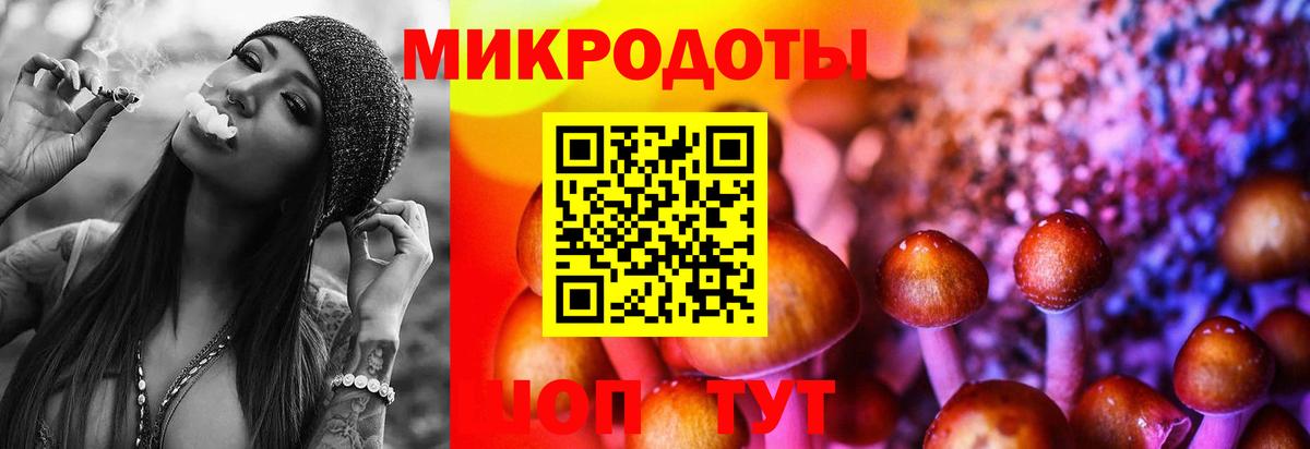 Баксан  Галлюциногенные грибы GOLDEN TEACHER  Галлюциногенные грибы прущие грибы  Вход с VPN 